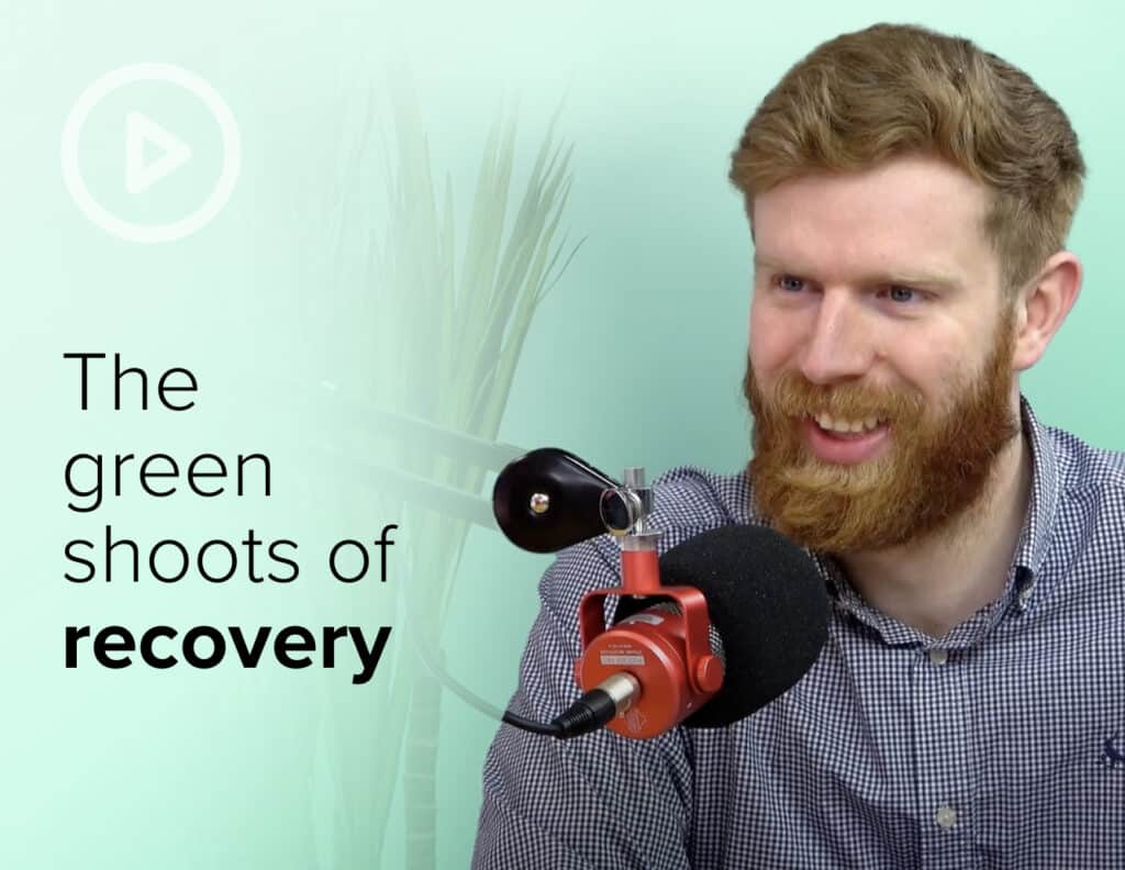 The Green Shoots of Recovery - Tim Trends on site